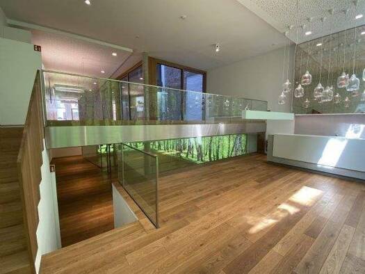 Verkaufsfläche zur Miete provisionsfrei 400 m² Verkaufsfläche altstadt Altstadt Landshut 84028