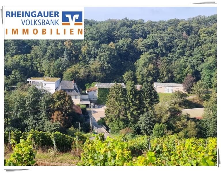 Land-/Forstwirtschaft zum Kauf 1.190.000 € 42.255 m²<br/>Grundstück Johannisberg Geisenheim 65366