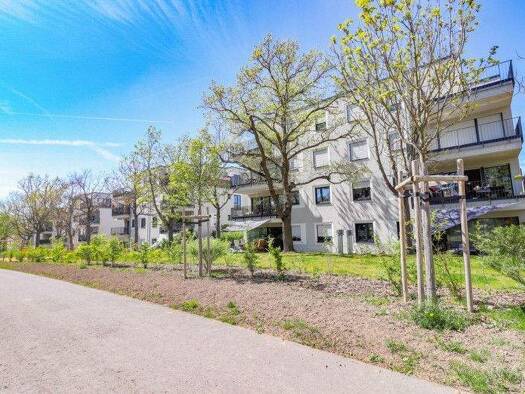 Wohnung zur Miete 1.406 € 3 Zimmer 92,1 m² frei ab 28.02.2026 Athanasius-Kircher-Straße 13 Frauenland Würzburg 97074