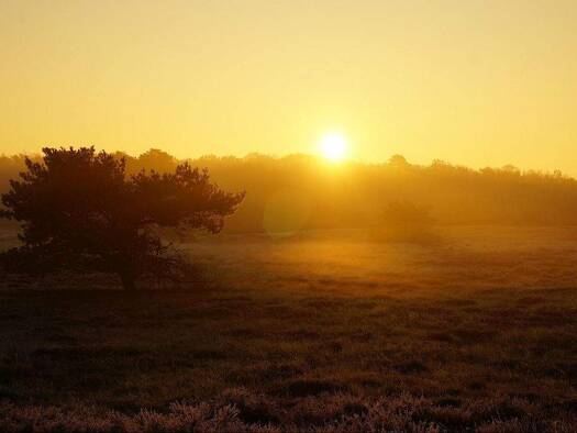 Einfamilienhaus zum Kauf 710.500 € 5 Zimmer 203 m² 540 m² Grundstück Ullersdorf Radeberg / Ullersdorf bei Radeberg 01454