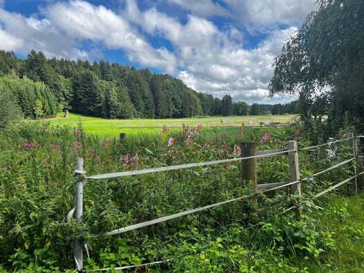 Einfamilienhaus zum Kauf 499.000 € 10 Zimmer 330 m² 3.500 m² Grundstück Gunzing Außernzell 94532