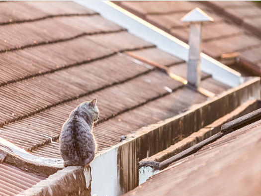 Rohdachboden zum Kauf 279 m² 5. Geschoss Moabit Berlin 10551