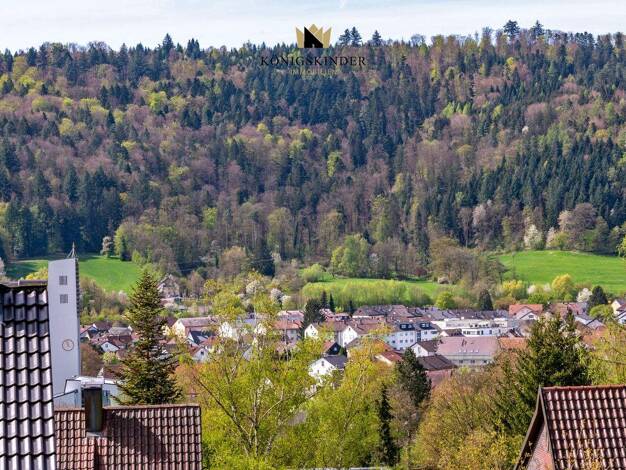 Mehrfamilienhaus zum Kauf 698.000 € 9,5 Zimmer 242 m² 1.159 m² Grundstück Plüderhausen 73655