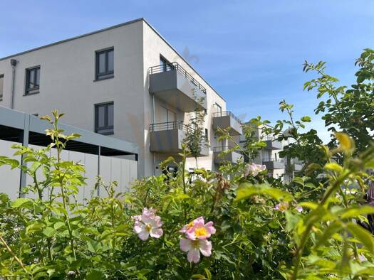 Wohnung zur Miete - Erstbezug 800 € 2 Zimmer 50,8 m² 1. Geschoss Biesenthal Biesenthal 16359