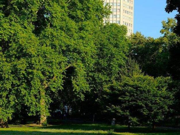 Penthouse zum Kauf provisionsfrei 625.000 € 3 Zimmer 105,7 m² Neustadt-Nord Köln 50668