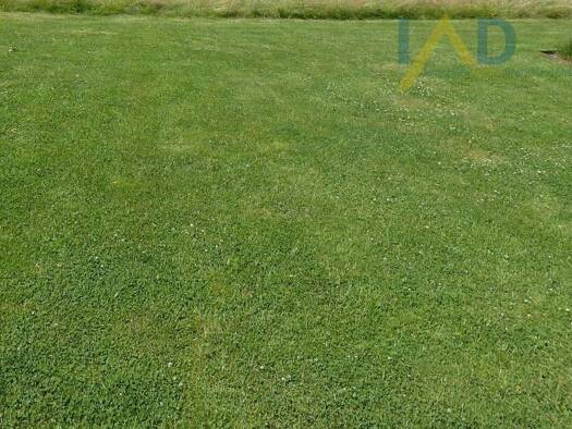 Grundstück zum Kauf 49.000 € 915 m² Grundstück Kroppach 57612