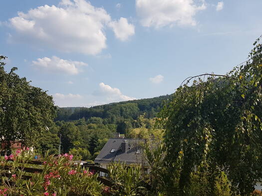 Terrassenwohnung zur Miete 450 € 2 Zimmer 50 m² EG frei ab sofort Hain Laufach 63846