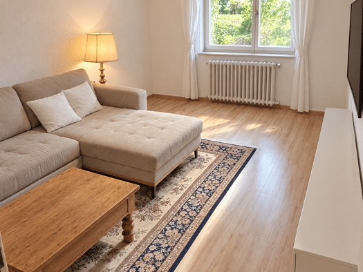 Wohnung zur Miete 630 € 2 Zimmer 65 m² Geschoss -1/2 frei ab 01.11.2026 Tiengen Freiburg im Breisgau 79112