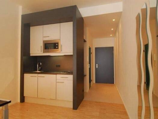 Studio zur Miete 560 € 1 Zimmer 25 m² 2. Geschoss frei ab sofort Drausnickstraße 1 a Erlangen-Ost Erlangen 91052