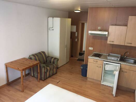 Wohnung zur Miete 490 € 1 Zimmer 25 m² Mainz-Kastel Kastel 55252