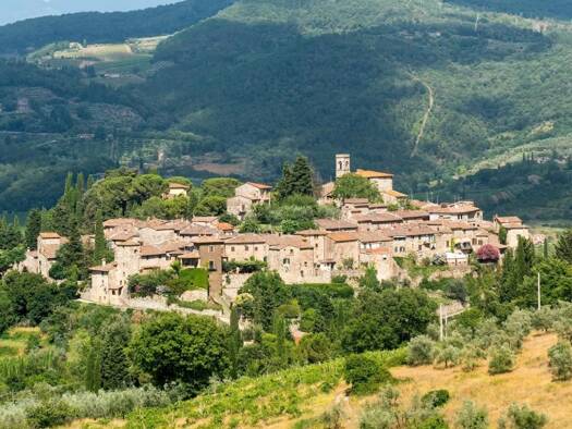 Haus zum Kauf 500.000 € 300 m² case sparse vitiano GREVE IN CHIANTI  50022