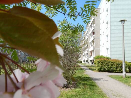Wohnung zur Miete 540 € 3 Zimmer 60 m² 3. Geschoss Lilienthalstraße 10 Schkeuditz 04435
