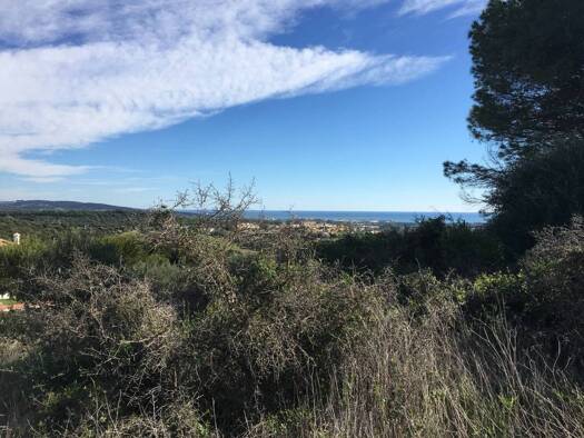 Acker-/Waldstück zum Kauf 1.000.000 € San Roque 11310