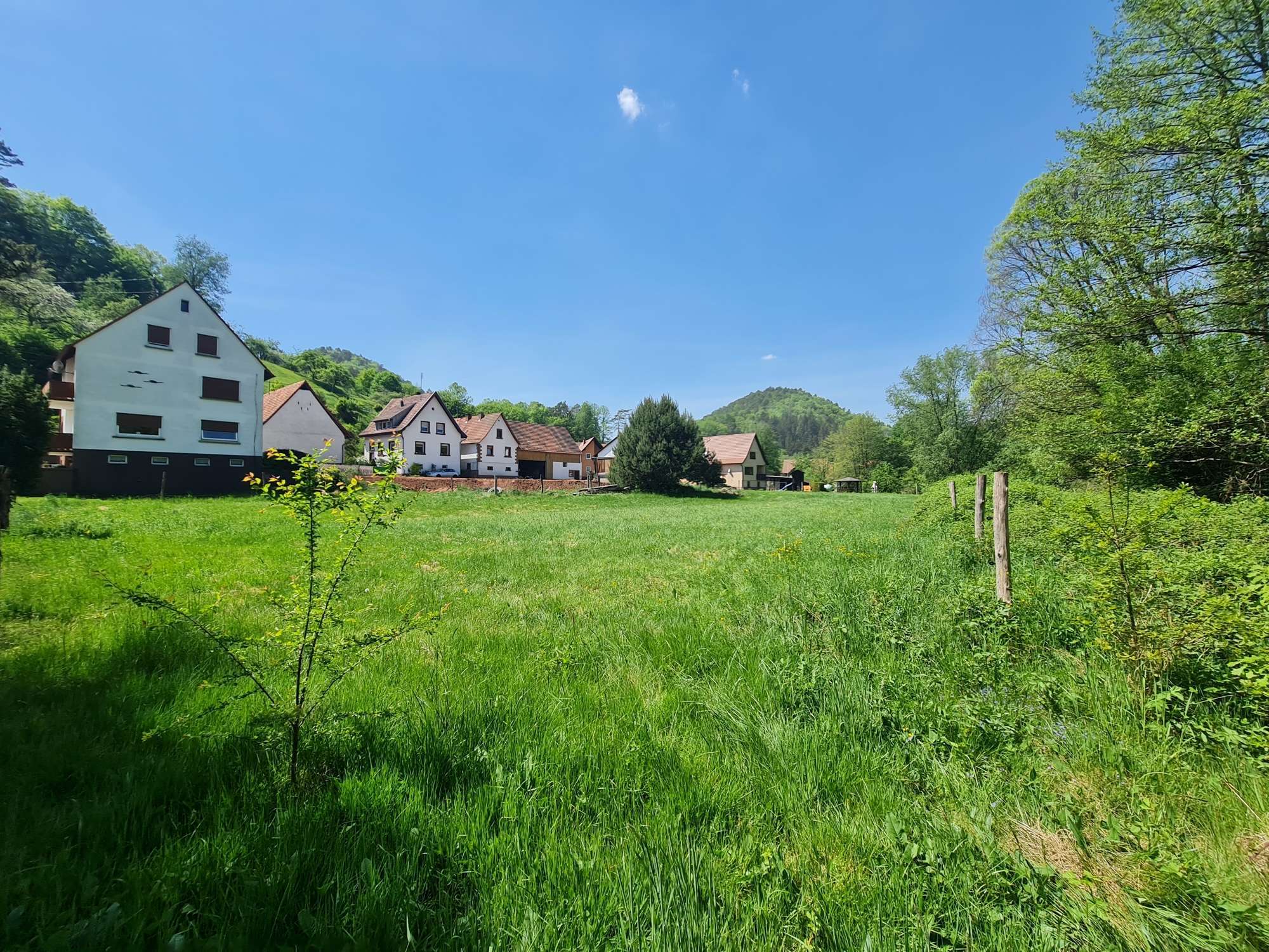 Grundstück zum Kauf 159.000 € 1.593 m²<br/>Grundstück Bobenthal 76891