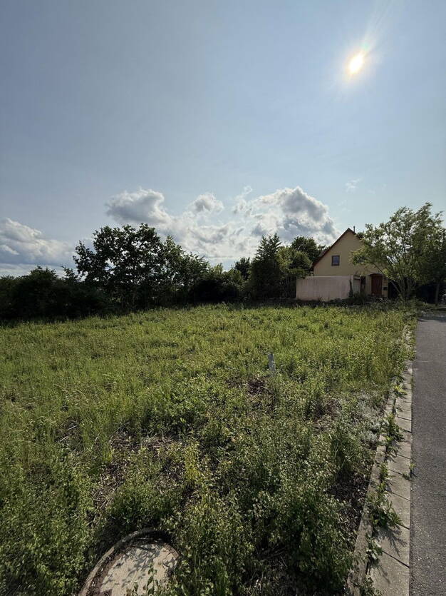 Grundstück zum Kauf provisionsfrei 399.500 € 800 m² Grundstück Sibylla-Weiß-Weg 11 Höchstadt Höchstadt an der Aisch 91315