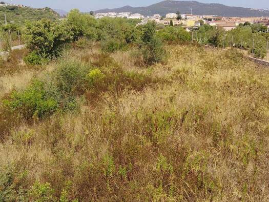 Grundstück zum Kauf 175.000 € 702 m² Grundstück Budune/Budoni 07051