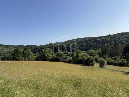Landwirtschaftliche Fläche zum Kauf 195.000 € 80.735 m² Grundstück Wuppertal 42349