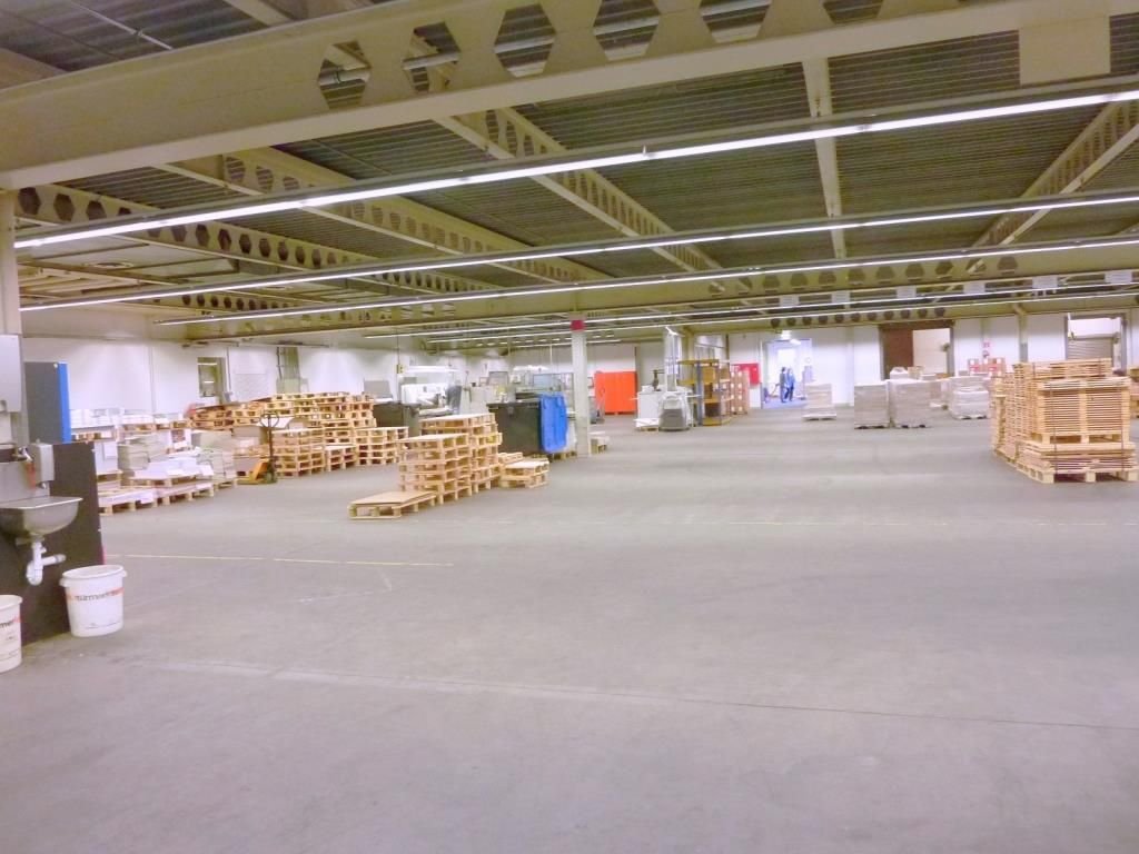 Halle/Industriefläche zur Miete 5.240 m²<br/>Lagerfläche ab 5.240 m²<br/>Teilbarkeit Frankenthal 131 Frankenthal 67227