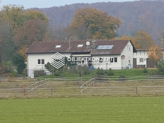 Mehrfamilienhaus zum Kauf provisionsfrei 1.590.000 € 6 Zimmer 310 m² 16.200 m² Grundstück Giengen Giengen an der Brenz 89537