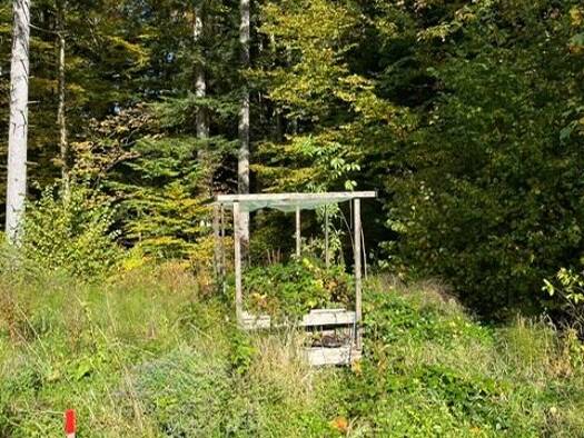 Grundstück zum Kauf 515.000 € 829 m² Grundstück Koppl 5321