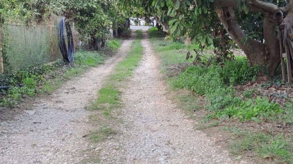 Land-/Forstwirtschaft zum Kauf 300.000 € Armeni 730 03