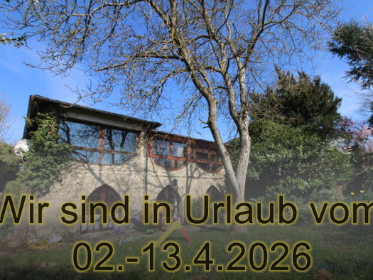 Mehrfamilienhaus zum Kauf 329.000 € 8,5 Zimmer 286 m² 1.046 m² Grundstück frei ab sofort Altstadt Kirkel 66459