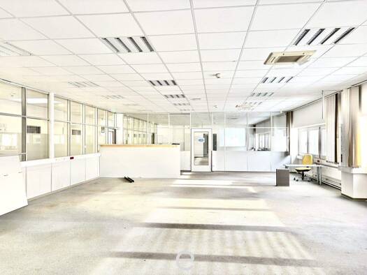 Lagerhalle zur Miete 6,95 € 6.327,9 m² Lagerfläche Wiener Neudorf 2351
