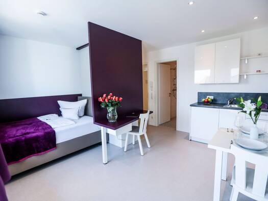 Studio zur Miete Wohnen auf Zeit 900 € 1 Zimmer 29 m² frei ab sofort Ingolstadt 85051