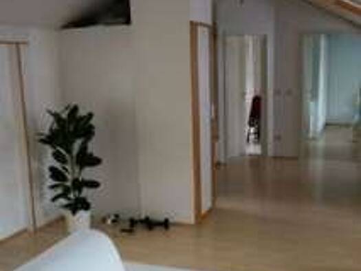 Loft zur Miete 750 € 2 Zimmer 74 m² Geschoss 5/6 frei ab 01.09.2026 Flößaustraße 46 Südstadt Fürth 90763