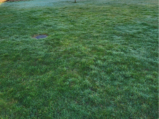 Einfamilienhaus zum Kauf - Erstbezug provisionsfrei 695.000 € 6 Zimmer 145 m² 589 m² Grundstück frei ab 01.11.2026 Dedinghausen Lippstadt 59558