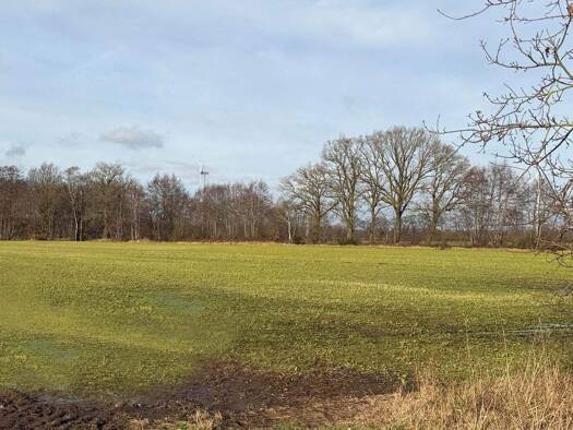 Landwirtschaftliche Fläche zum Kauf 216.900 € Nordhorn 48531