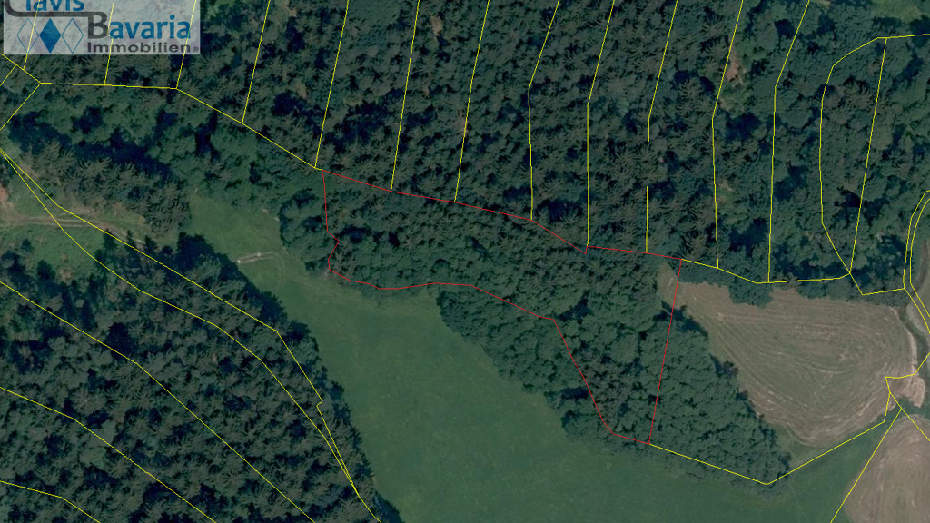 Land-/Forstwirtschaft zum Kauf 41.000 € 5.121 m² Grundstück Hartreut Außernzell 94532