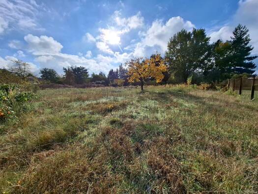 Grundstück zum Kauf provisionsfrei 49.075 € 1.963 m² Grundstück frei ab sofort Dranse Wittstock/Dosse 16909