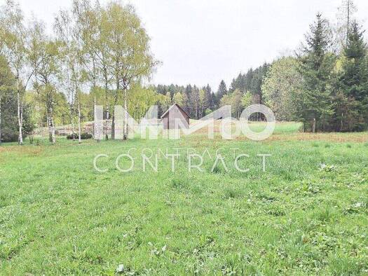 Land-/Forstwirtschaft zum Kauf 280.000 € 19.929 m² Grundstück Bad Traunstein 3632