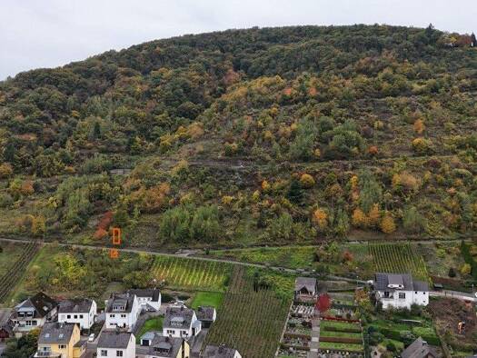 Land-/Forstwirtschaft zum Kauf 200 € 567 m² 567 m² Grundstück Reichertsberg Sankt Aldegund 56858