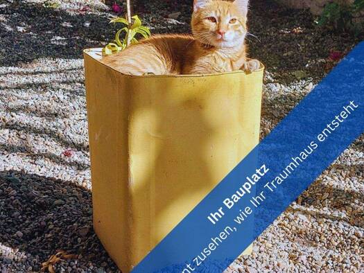 Grundstück zum Kauf provisionsfrei 59.500 € 1.555 m² Grundstück Schönbeck 17349