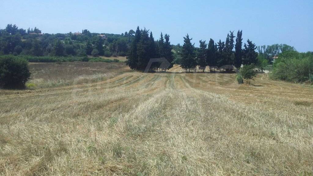 Landwirtschaftliche Fläche zum Kauf 150.000 € Posidi