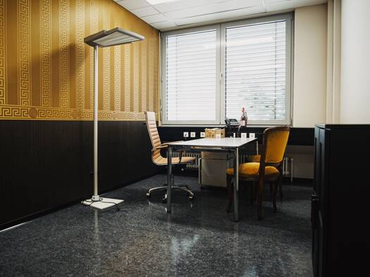 Bürofläche zur Miete provisionsfrei 199 € 199 m² Bürofläche Kehl 77694