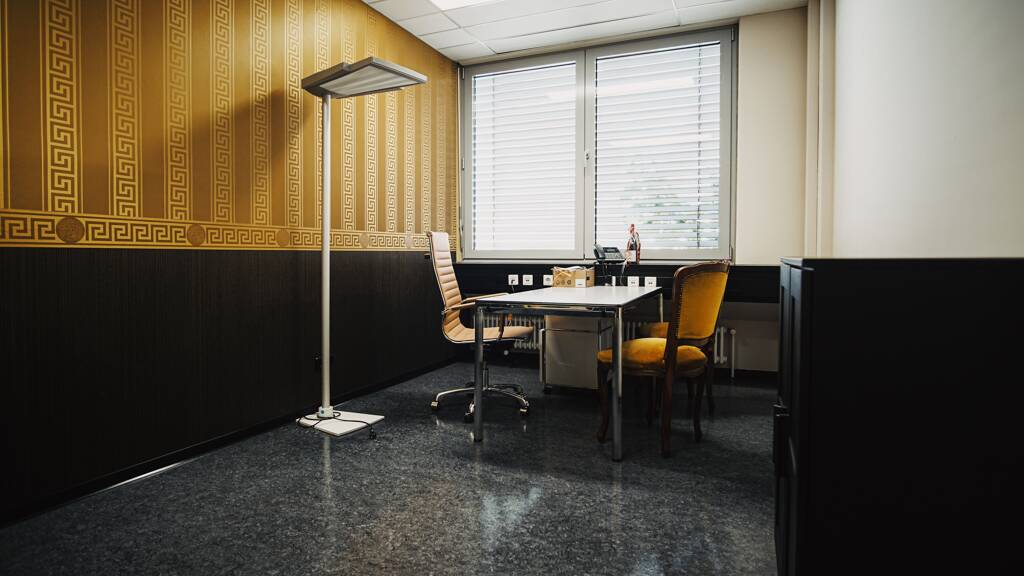 Bürofläche zur Miete provisionsfrei 199 € 199 m² Bürofläche Kehl 77694