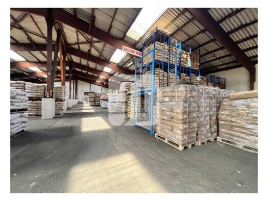 Lagerhalle zur Miete 2.200 m² Lagerfläche Rothenburgsort Mitte 20539