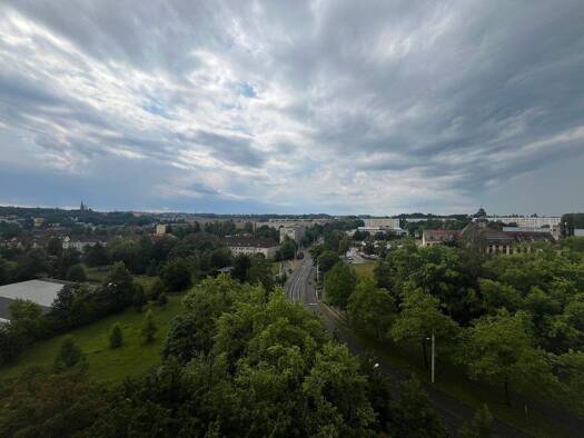 Studio zur Miete 234 € 1 Zimmer 35 m² 9. Geschoss frei ab sofort Neuplanitzer Straße 35 Neuplanitz Zwickau 08062