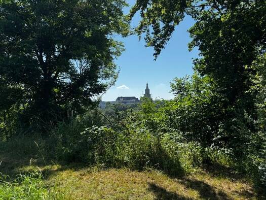 Einfamilienhaus zum Kauf 125.000 € 4 Zimmer 100 m² 3.290 m² Grundstück Weida Weida 07570