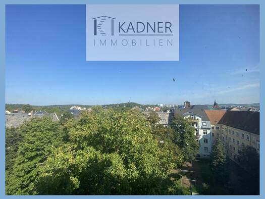 Mehrfamilienhaus zum Kauf 199.000 € 27 Zimmer 747,6 m² 460 m² Grundstück Neundorfer Straße 86 Stadtmitte Plauen 08523