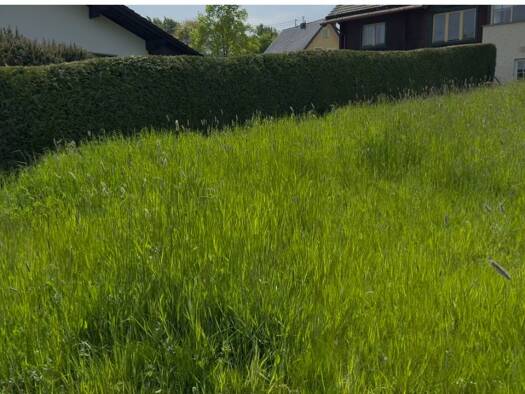 Grundstück zum Kauf 476.000 € 2.000 m² Grundstück Kalenborn Vettelschoß 53560