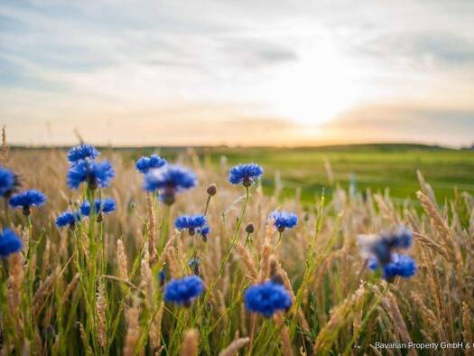 Grundstück zum Kauf 132.000 € 674 m² Grundstück Untermitterndorf Kirchberg im Wald / Untermitterdorf 94259