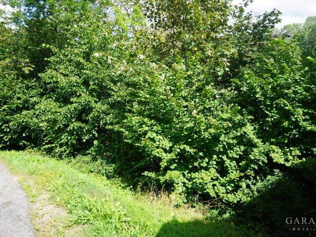 Grundstück zum Kauf 45.000 € 1.885 m² Grundstück Alpirsbach 72275