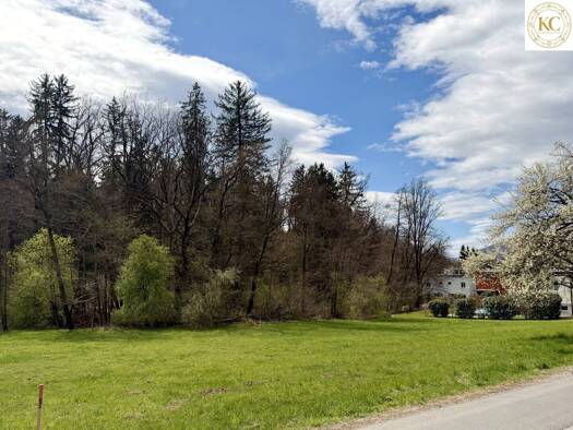 Grundstück zum Kauf 549.000 € 2.753 m² Grundstück Andritz Graz 8045