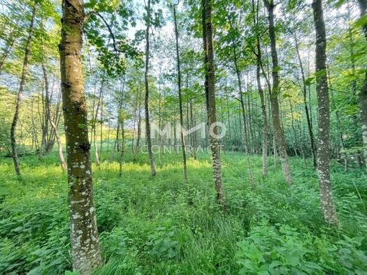 Land-/Forstwirtschaft zum Kauf 30.000 € 6.938 m² Grundstück Ardagger 3321