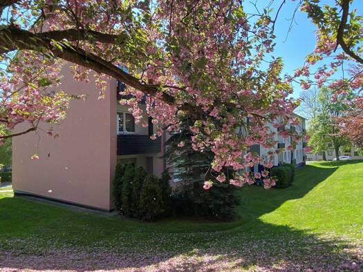 Wohnung zur Miete 527 € 3 Zimmer 65,8 m² EG Franzstraße 5 Fritzlar 34560