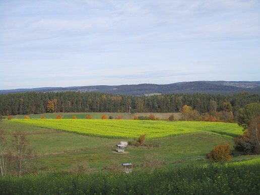 Landwirtschaftliche Fläche zum Kauf 213.619 € 30.517 m²<br/>Grundstück Neunburg Neunburg vorm Wald 92431